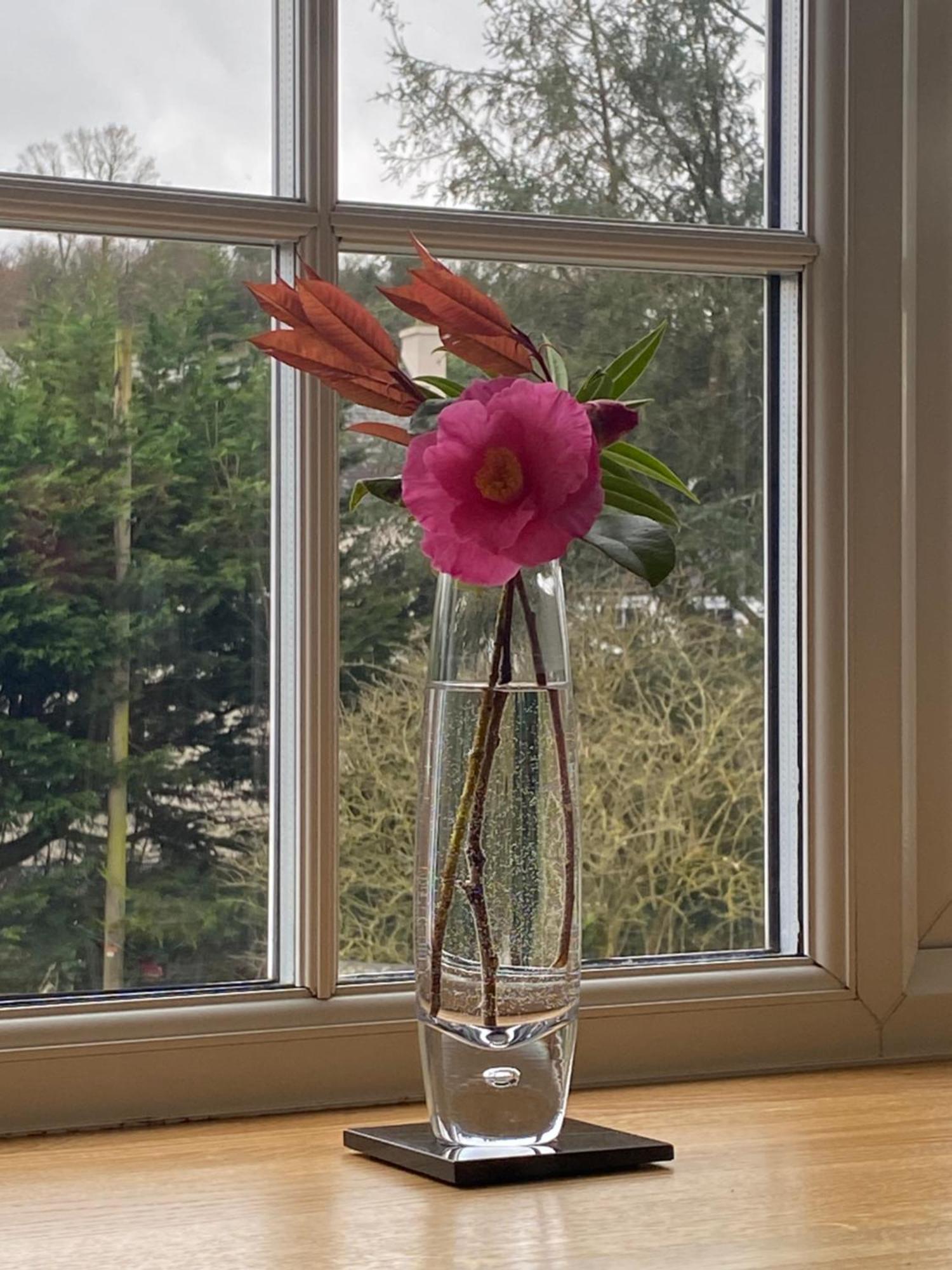 Lynwood House Bed And Breakfast Tregoney ภายนอก รูปภาพ